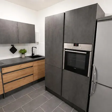 Apartment Für Berufstätige Mit 5 Einzelbetten, Smart Tv, Küche, Wifi, Balkon, Wama Halle (Saale)